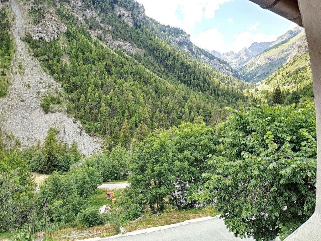 La Maison Basse Saint-Dalmas-le-Selvage ภายนอก รูปภาพ
